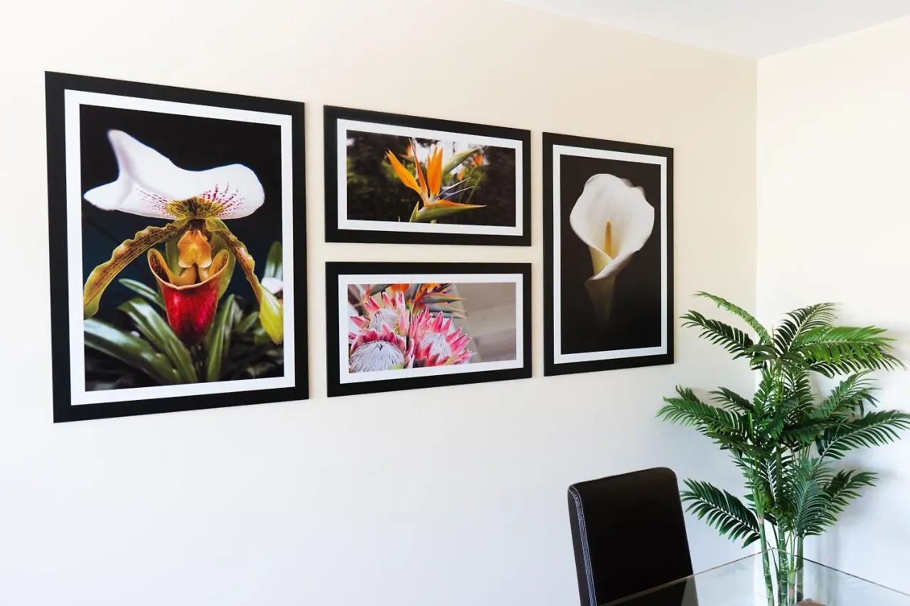 Bright Light Apartment Funchal